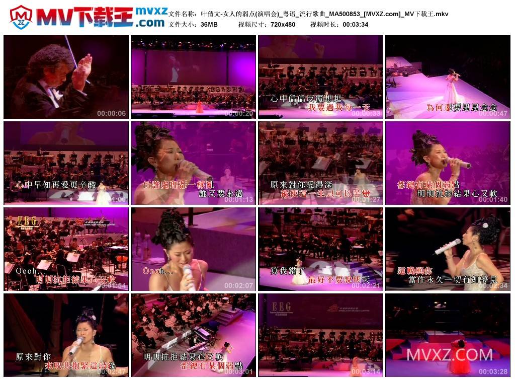 叶倩文-女人的弱点(演唱会)_粤语_流行歌曲_MA500853